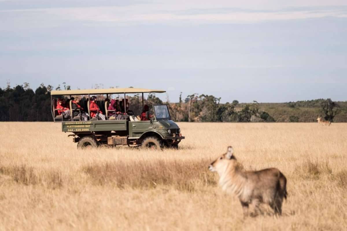 Plettenberg-Bay-Game-Reserve-2-1