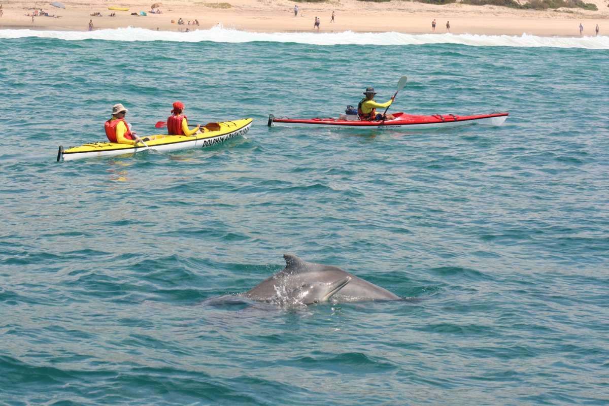 Sea-Kayaking-in-Plettenberg-Bay